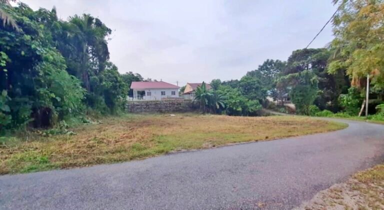 WhatsApp Image 2024 05 12 at 2.49.37 PM 2 1 768x421