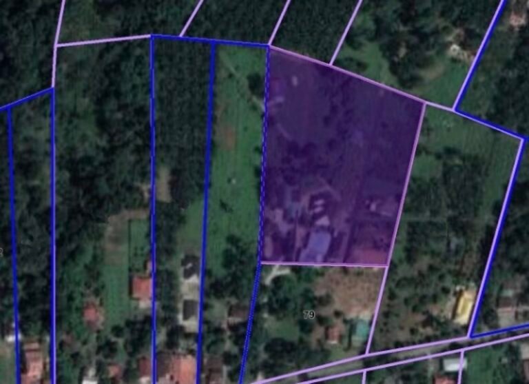 WhatsApp Image 2024 05 21 at 8.17.07 PM 768x557