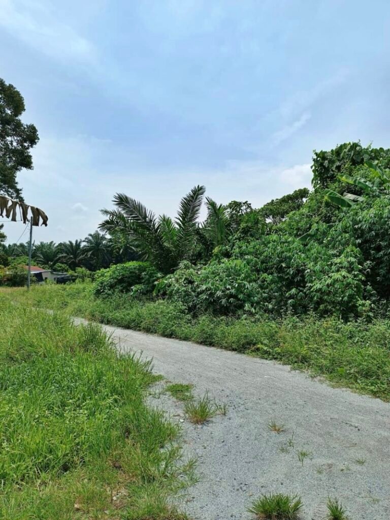 WhatsApp Image 2024 05 23 at 3.01.16 PM 768x1023