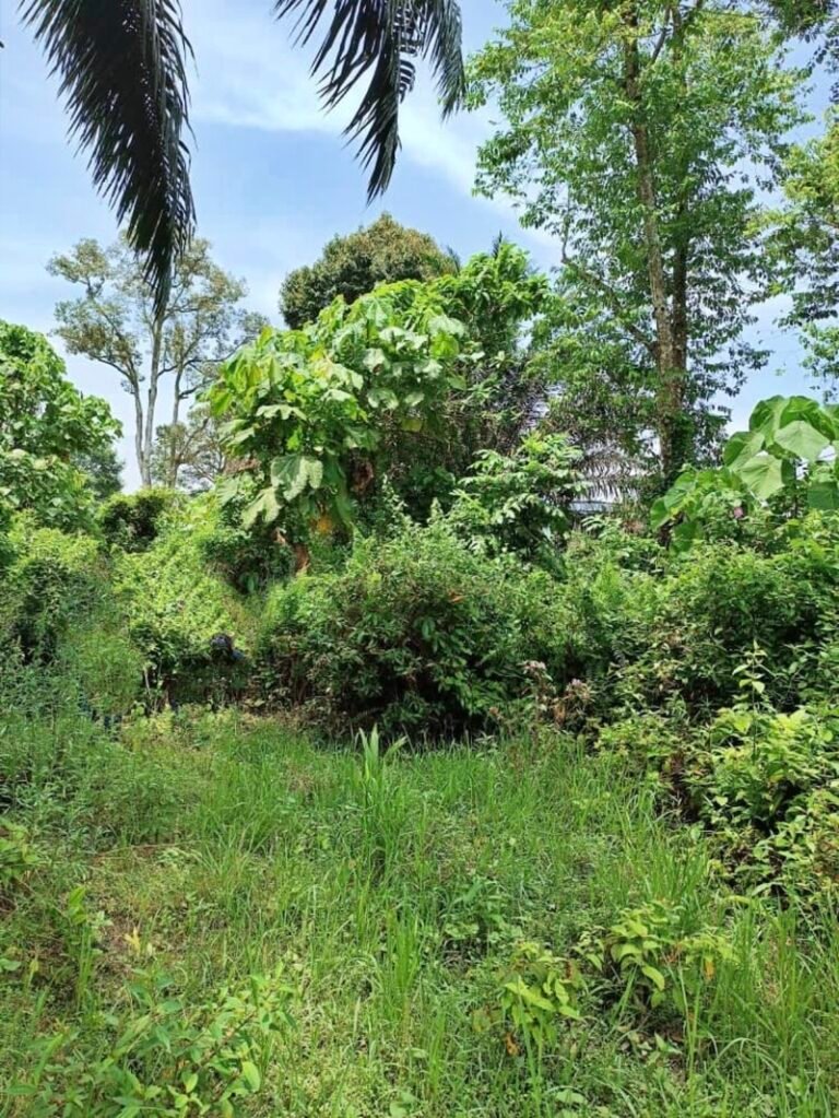 WhatsApp Image 2024 05 23 at 9.48.25 AM 768x1023