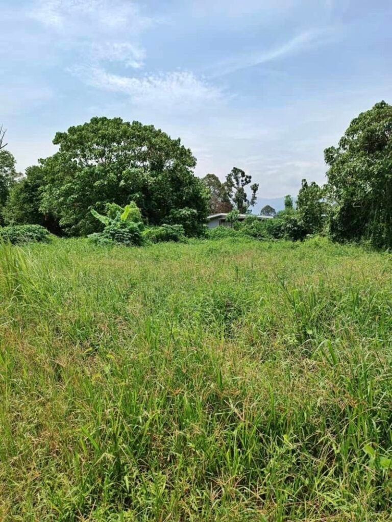 WhatsApp Image 2024 05 23 at 9.48.41 AM 768x1023