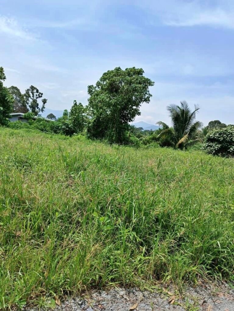 WhatsApp Image 2024 05 23 at 9.49.33 AM 768x1023