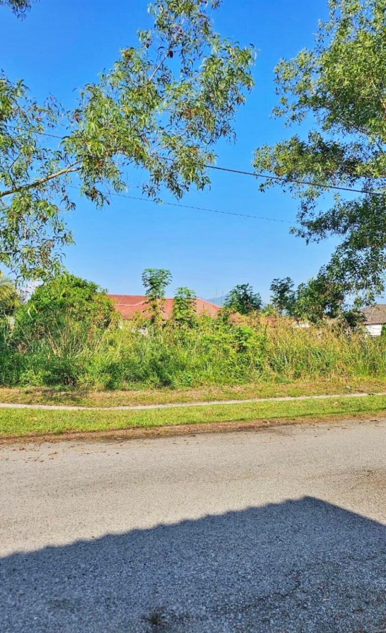 WhatsApp Image 2024 05 24 at 2.28.10 PM 1 768x1260