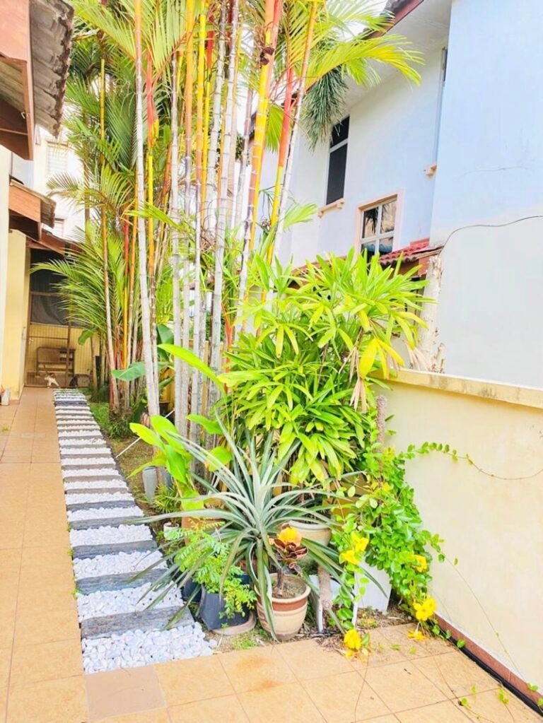 WhatsApp Image 2024 05 28 at 8.56.56 AM 1 768x1023