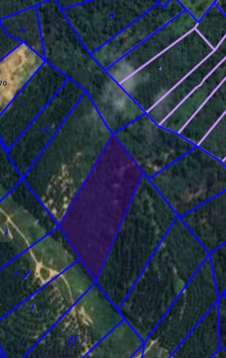 WhatsApp Image 2024 06 08 at 11.39.23 PM 768x1217