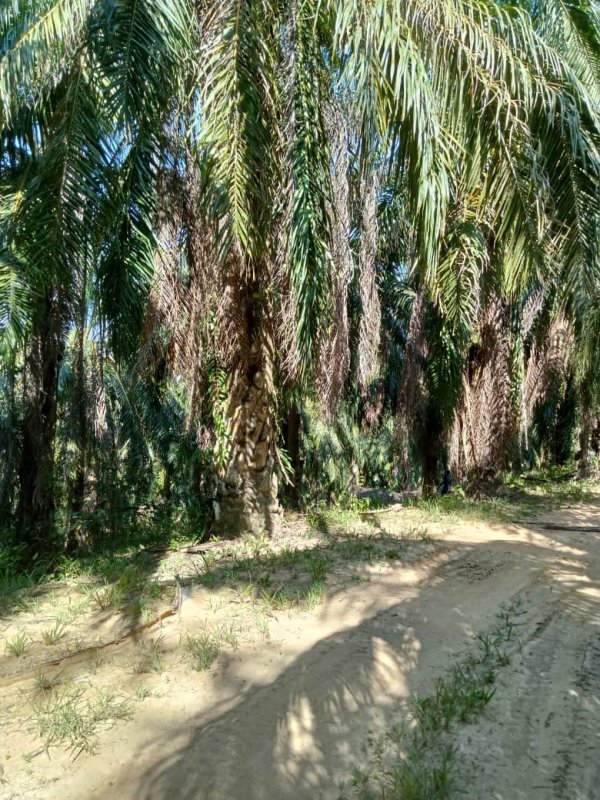 WhatsApp Image 2024 06 21 at 5.13.55 PM 1