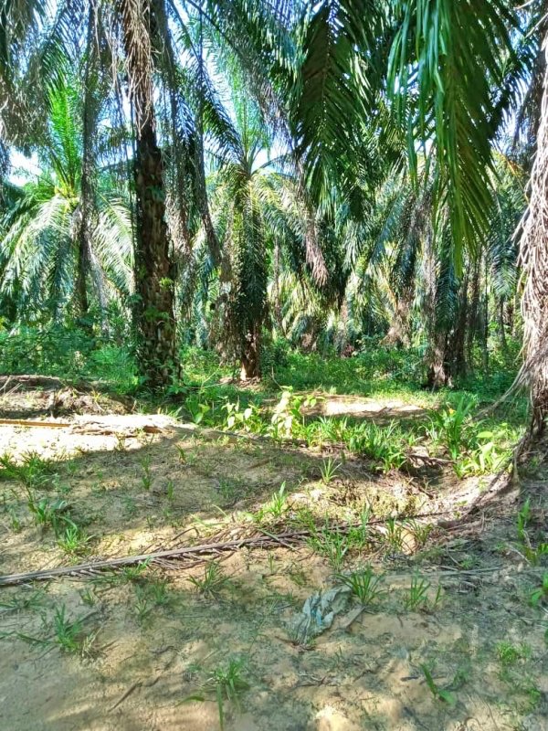 WhatsApp Image 2024 06 21 at 5.13.55 PM 2