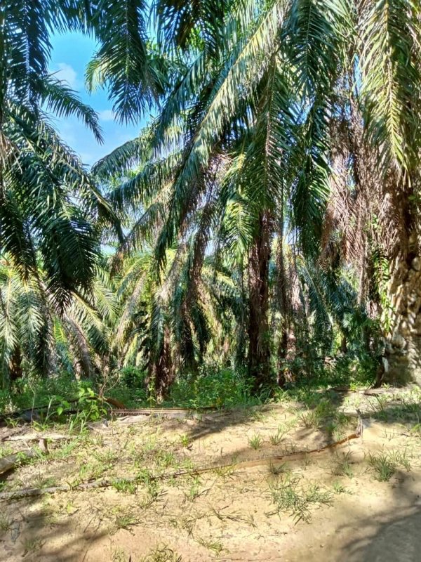 WhatsApp Image 2024 06 21 at 5.13.55 PM