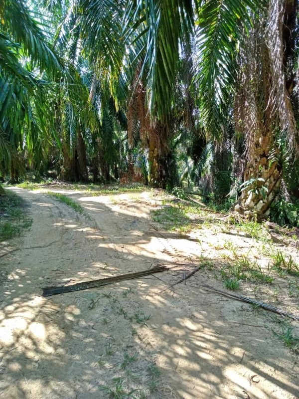 WhatsApp Image 2024 06 21 at 5.13.56 PM 1