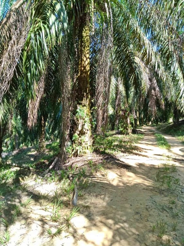 WhatsApp Image 2024 06 21 at 5.13.56 PM