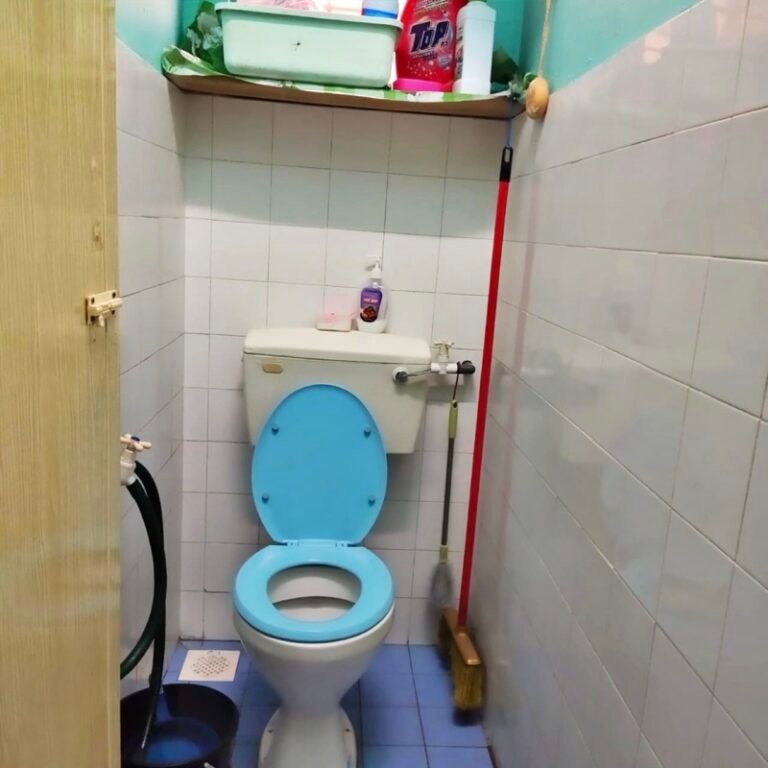 rumah untuk dijual taman bercham raya ipoh perak 9 768x768