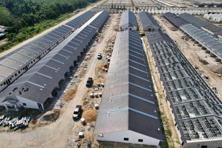 06 LagendaTropika 768x512