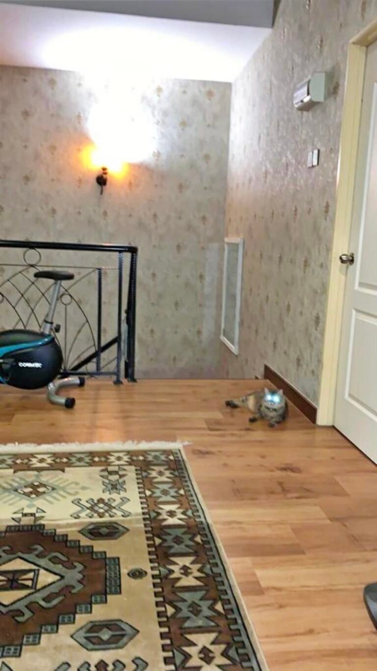 WhatsApp Image 2024 08 15 at 84557 PM 2 768x1365