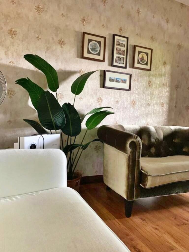 WhatsApp Image 2024 08 15 at 84558 PM 768x1023