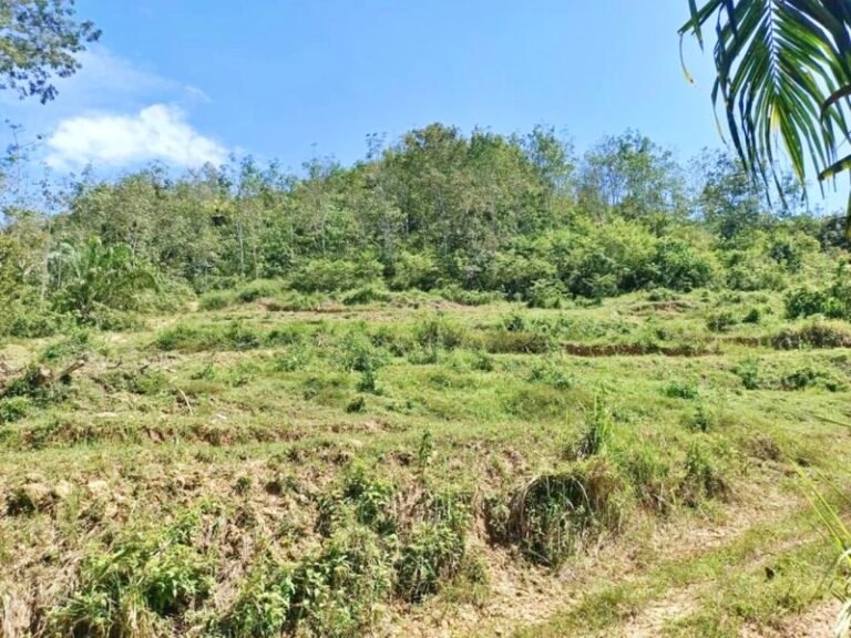 WhatsApp Image 2024 08 16 at 104105 PM 768x576