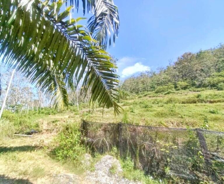 WhatsApp Image 2024 08 16 at 104107 PM 1 768x631