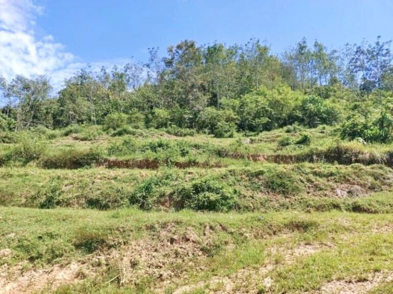 WhatsApp Image 2024 08 16 at 104107 PM 768x576