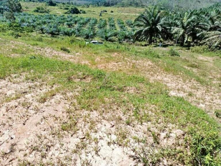 WhatsApp Image 2024 08 16 at 104108 PM 1 768x576