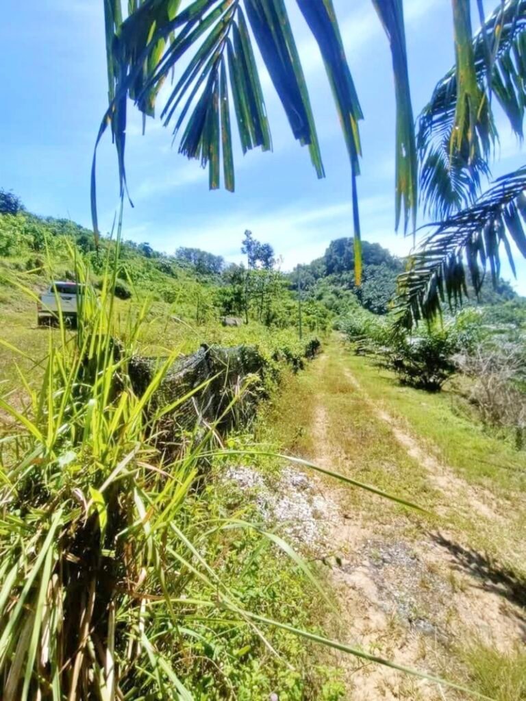 WhatsApp Image 2024 08 16 at 104108 PM 768x1023