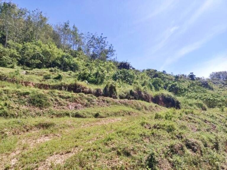 WhatsApp Image 2024 08 16 at 104109 PM 1 768x576