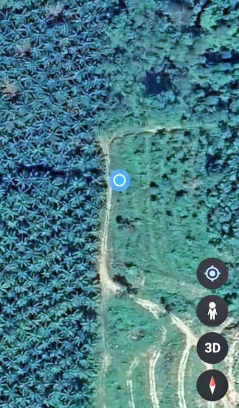 WhatsApp Image 2024 08 16 at 104109 PM 768x1309