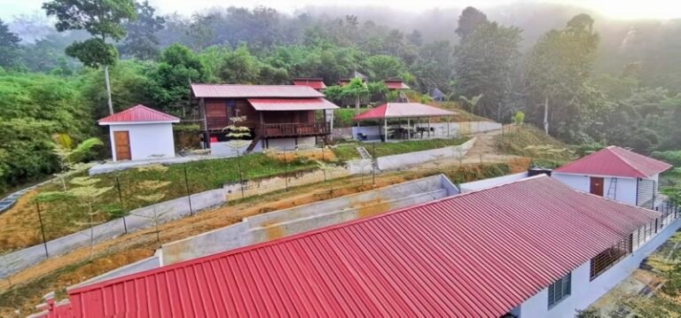 WhatsApp Image 2024 08 20 at 55151 PM 1 768x359