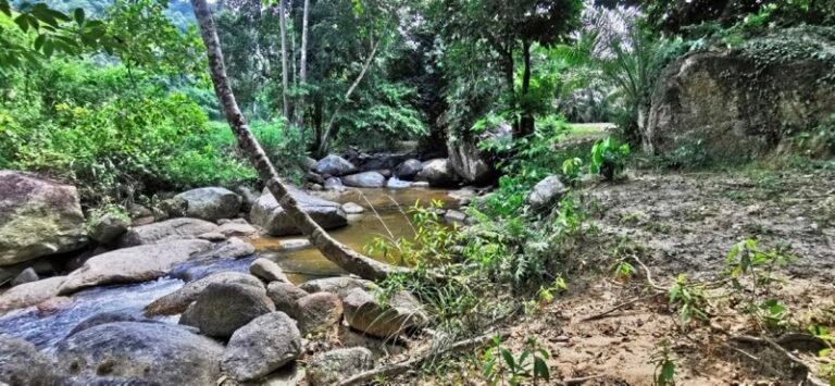 WhatsApp Image 2024 08 20 at 55153 PM 768x355