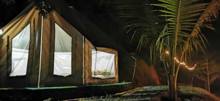 WhatsApp Image 2024 08 20 at 55154 PM 2 768x353