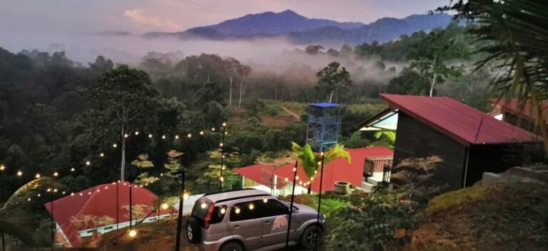 WhatsApp Image 2024 08 20 at 55154 PM 768x353