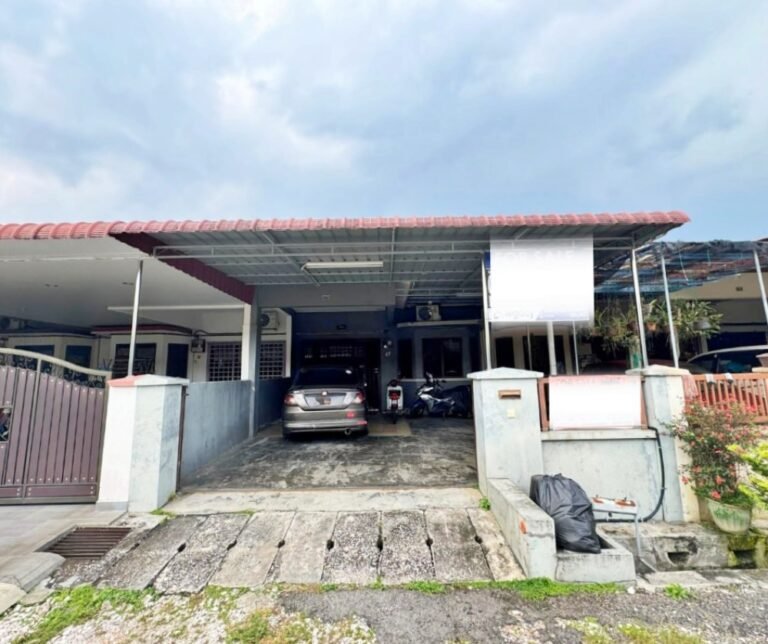 photo 2024 10 12 123200 768x644