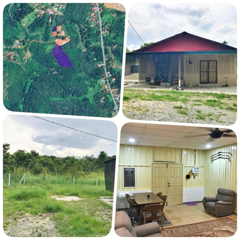 temong hilir 768x768