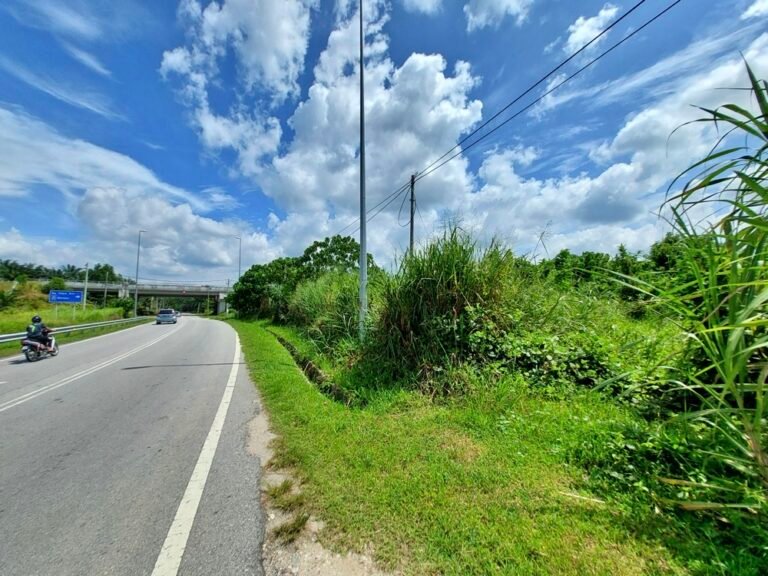 20241116 134458 768x576