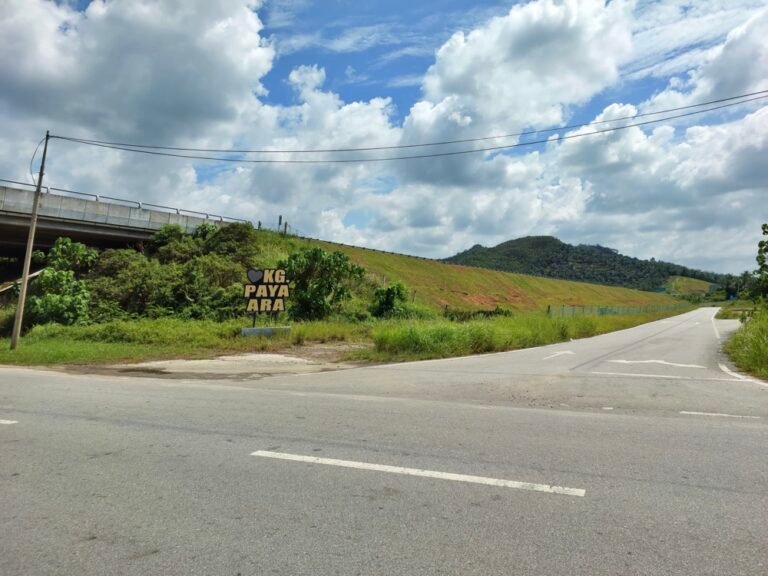 20241116 134659 768x576