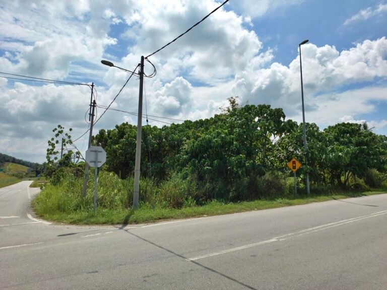 20241116 134702 768x576