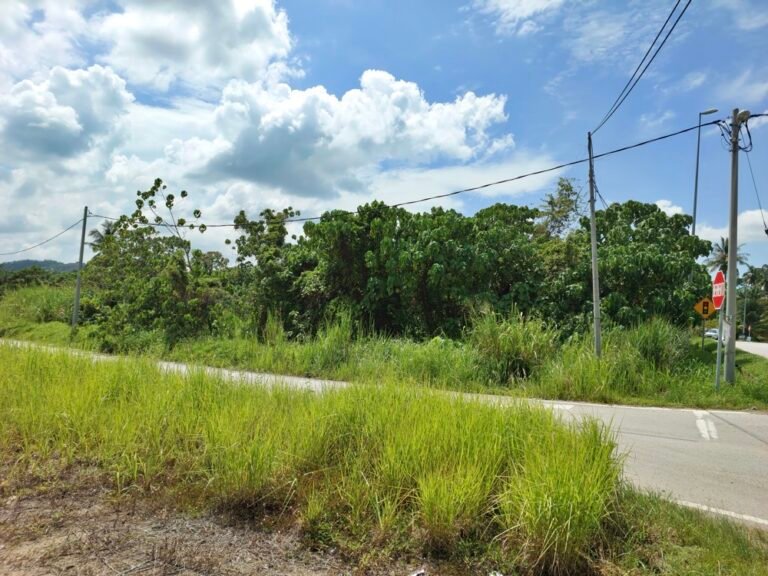 20241116 134739 768x576