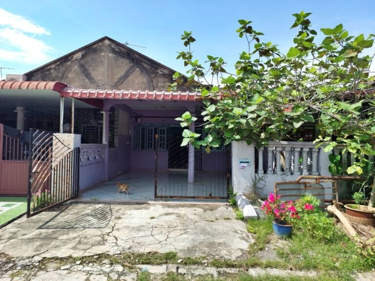 20241123 111031 1 768x576