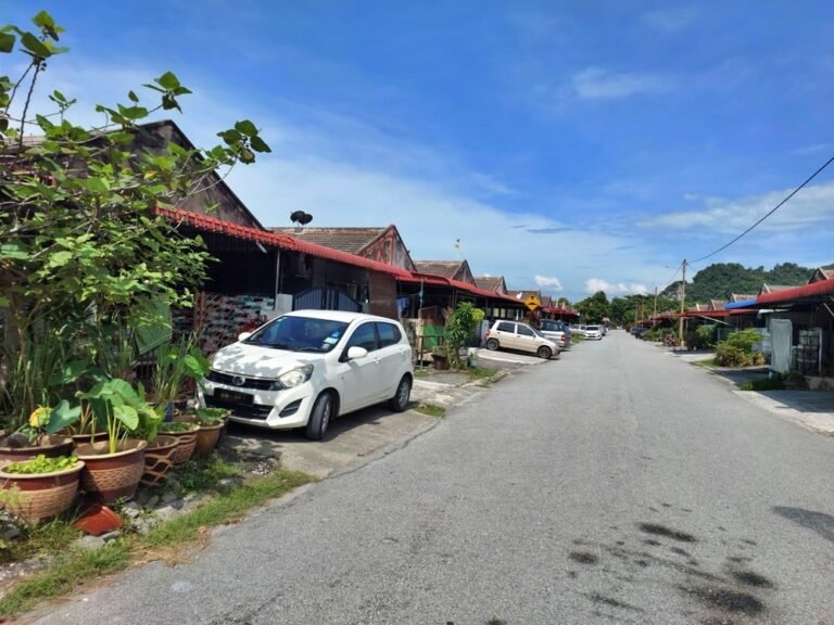 20241123 111034 1 768x576