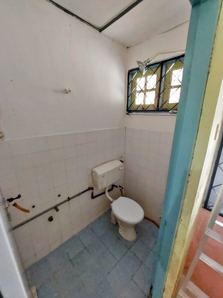 20241123 111729 1 768x1024