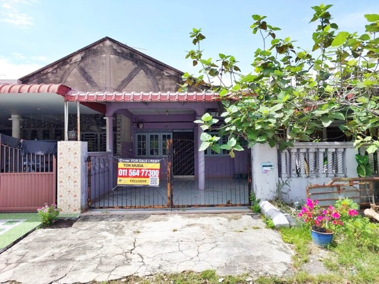 20241123 113414 1 768x576