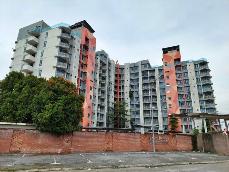 20241212 155834 768x576